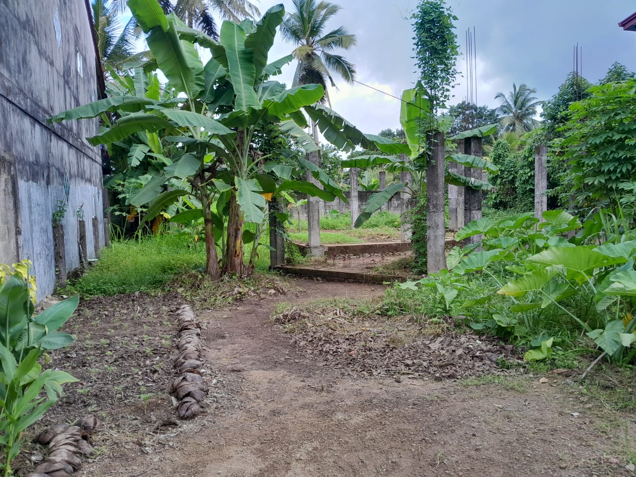 Bare Land Horana