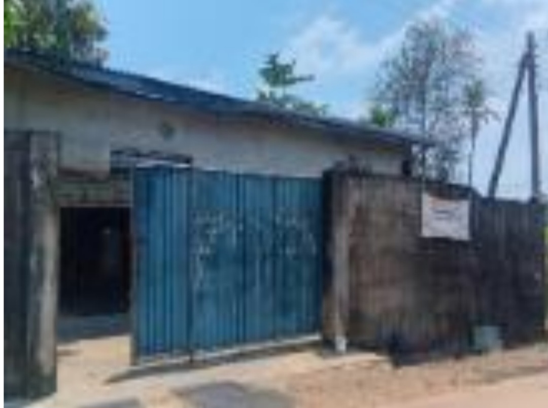 Commercial property Naranwala