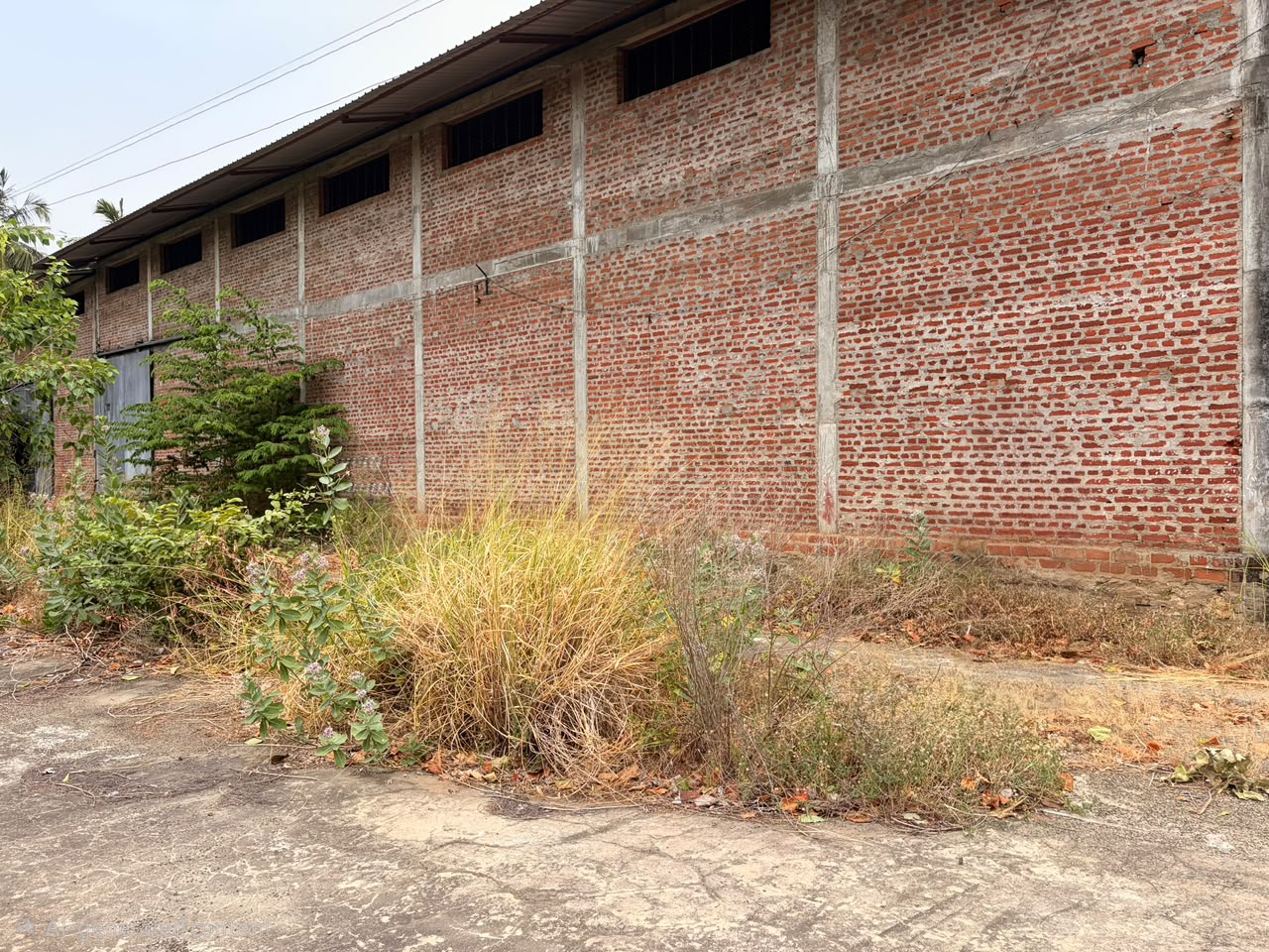 Bare Land Polonnaruwa