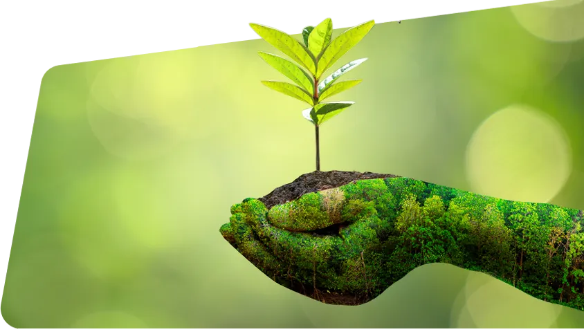 ESG Policies and Procedures