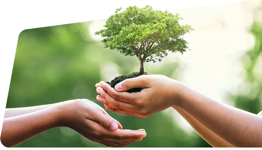 Green Products