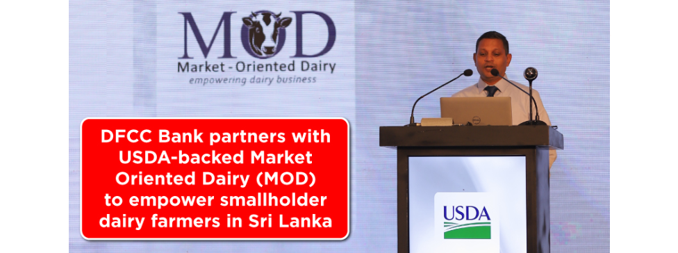 DFCC Bank Unveils Rs. 500 Million Fund to Support Smallholder Dairy Farmers main