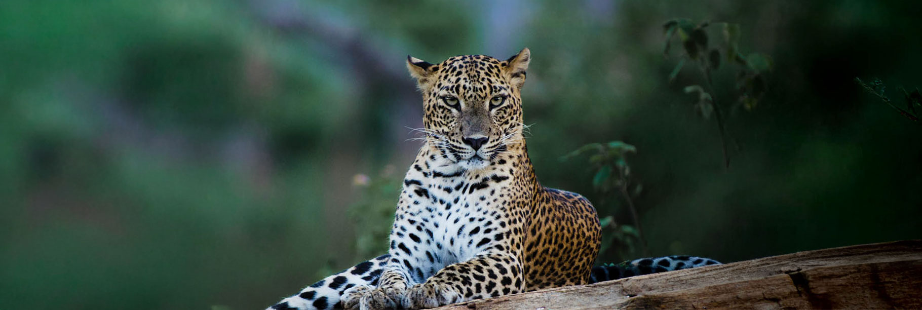 Home Page Slide Image