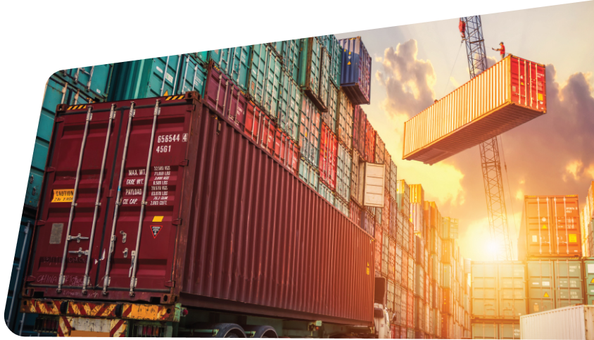Import Services