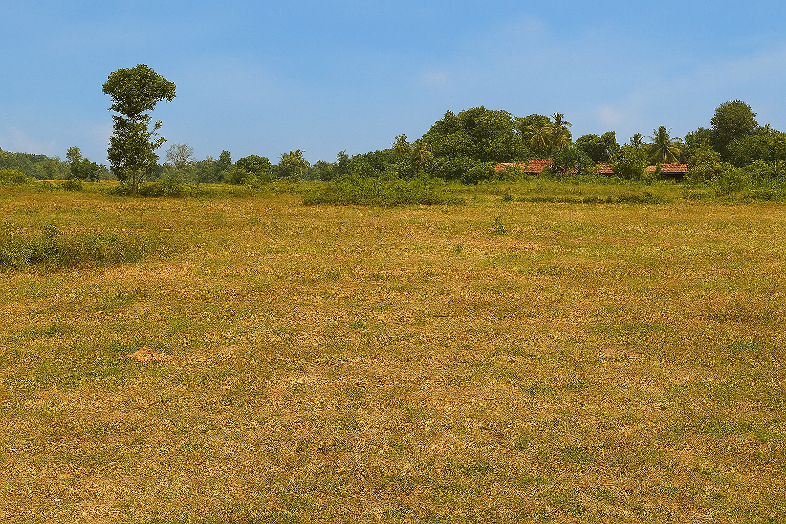 Bare Land Dambulla
