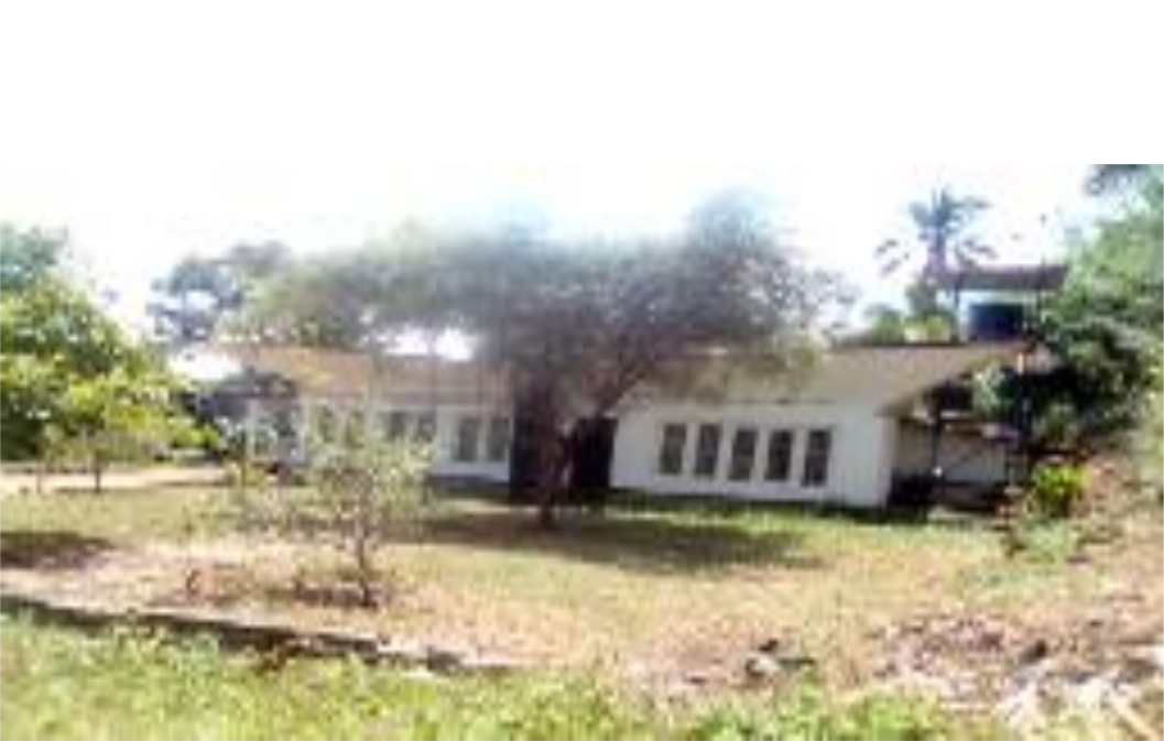 Commercial Property Peradeniya