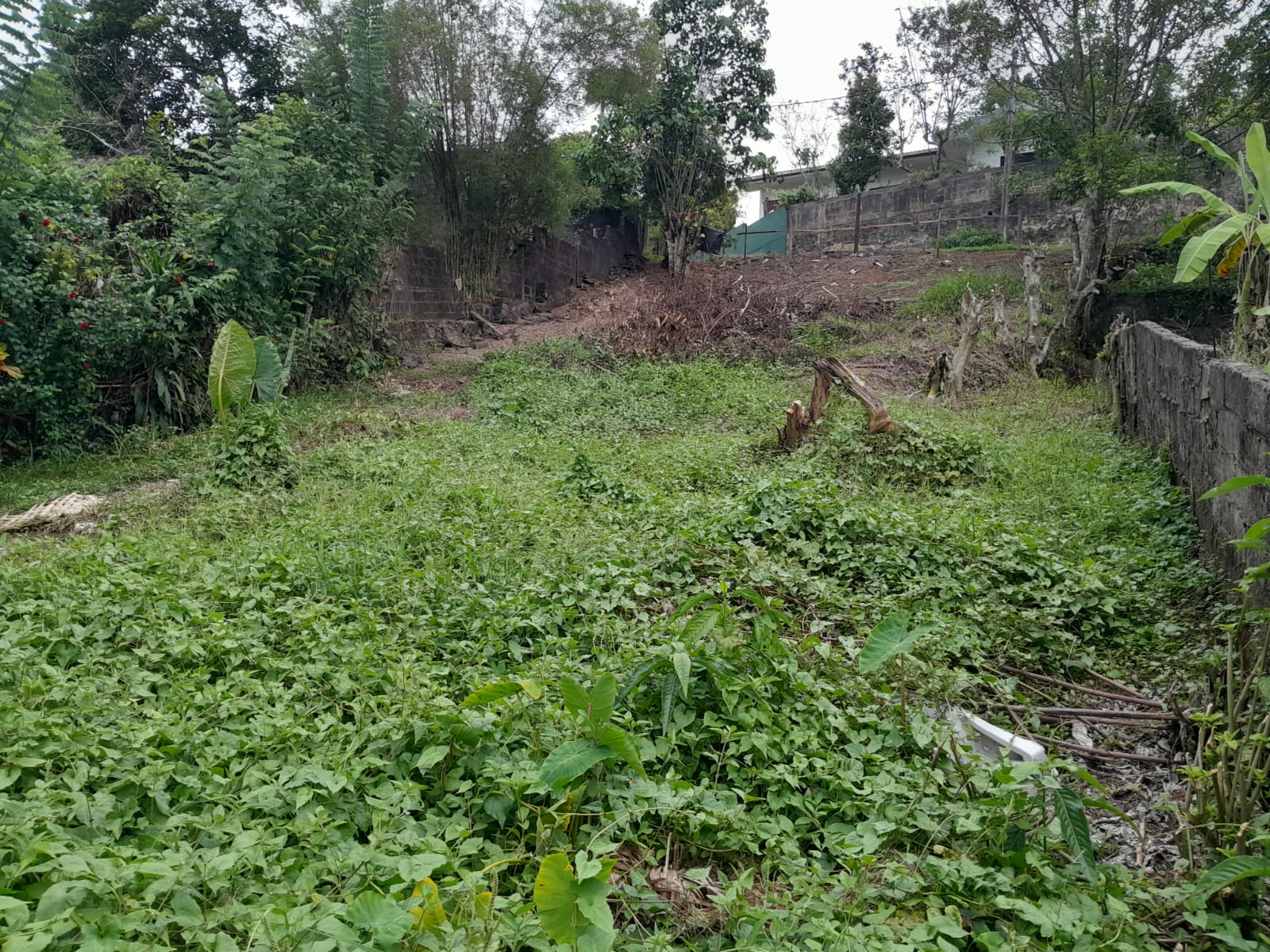 IMG 20260728 WA0019