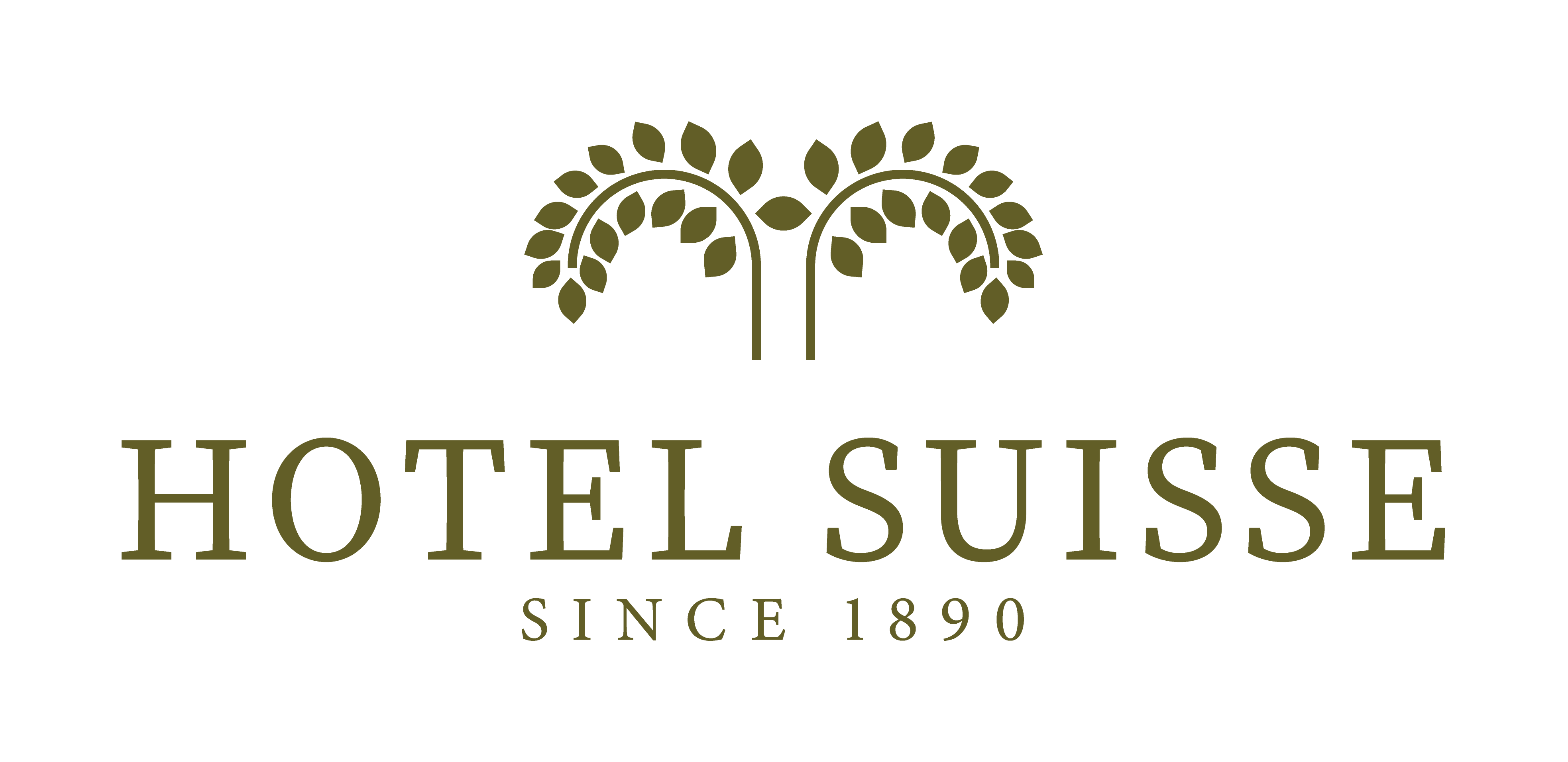 Hotel Suisse color (1)