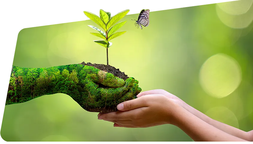 Sustainability Strategy