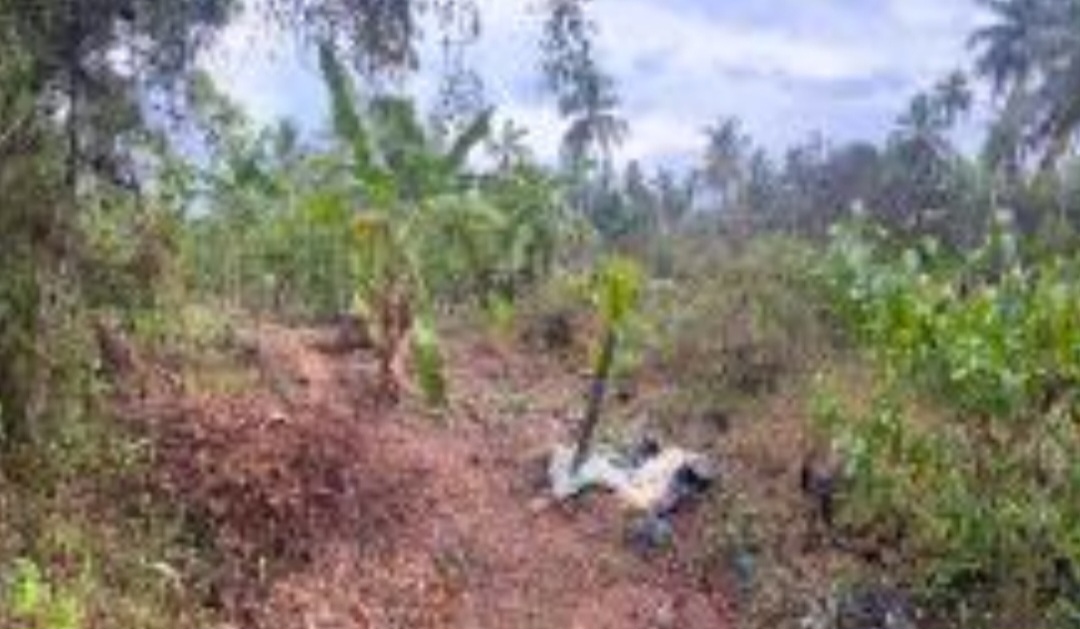 Bare Land Kuliyapitiya