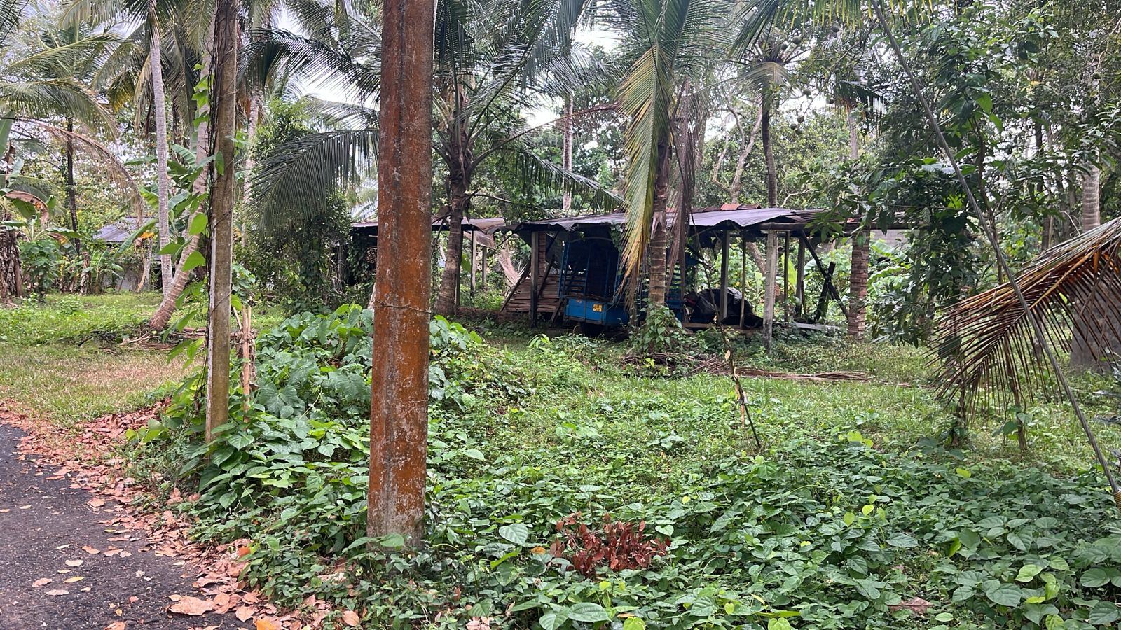 IMG 20250228 WA0009 (1)