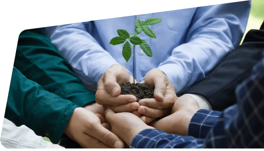 Sustainability Reporting