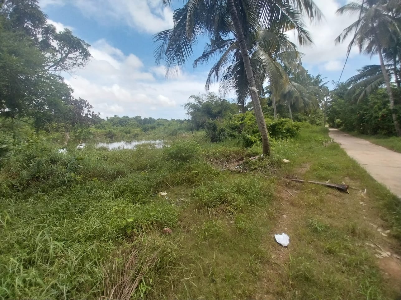 Bare Land Katgoda