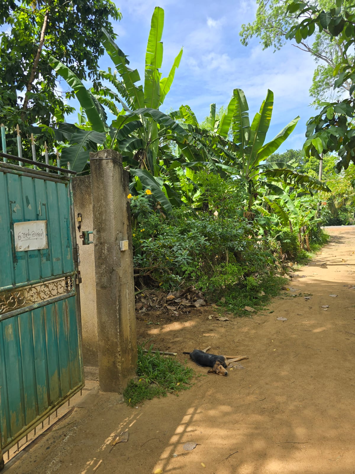 Bare Land Embilipitiya