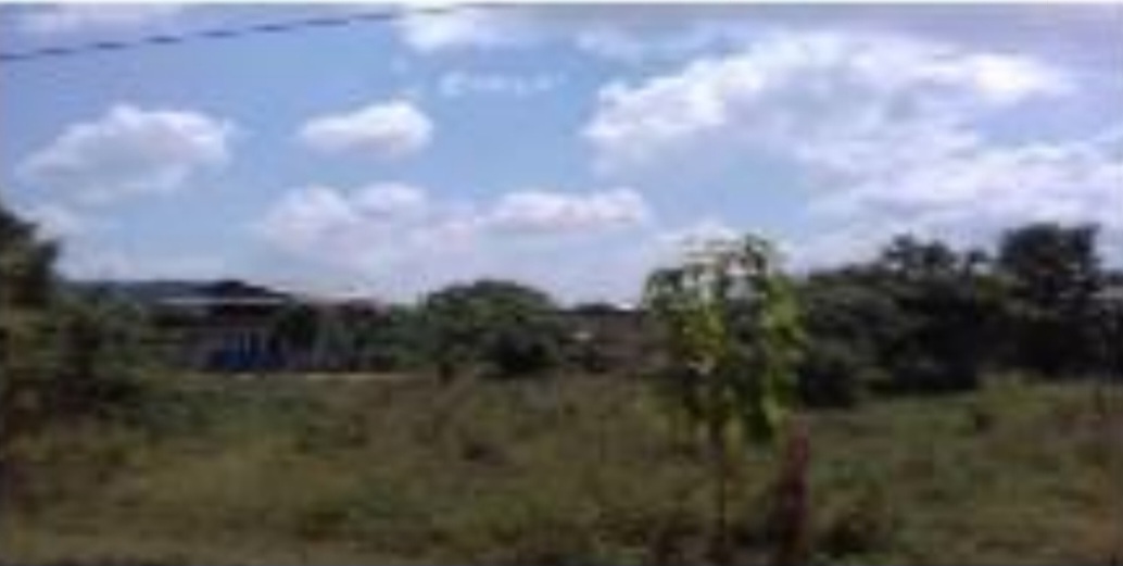 Bare Land Dambulla