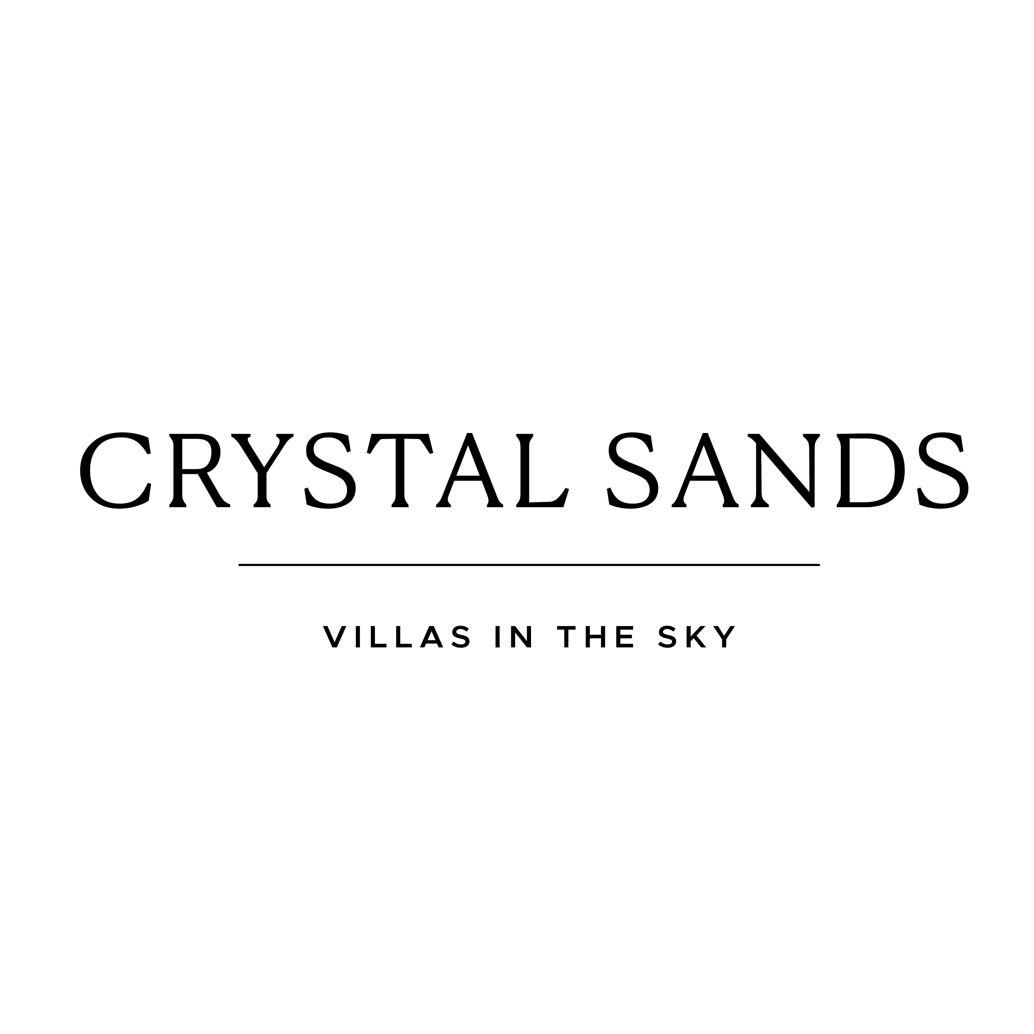 CS logo 02 (1)