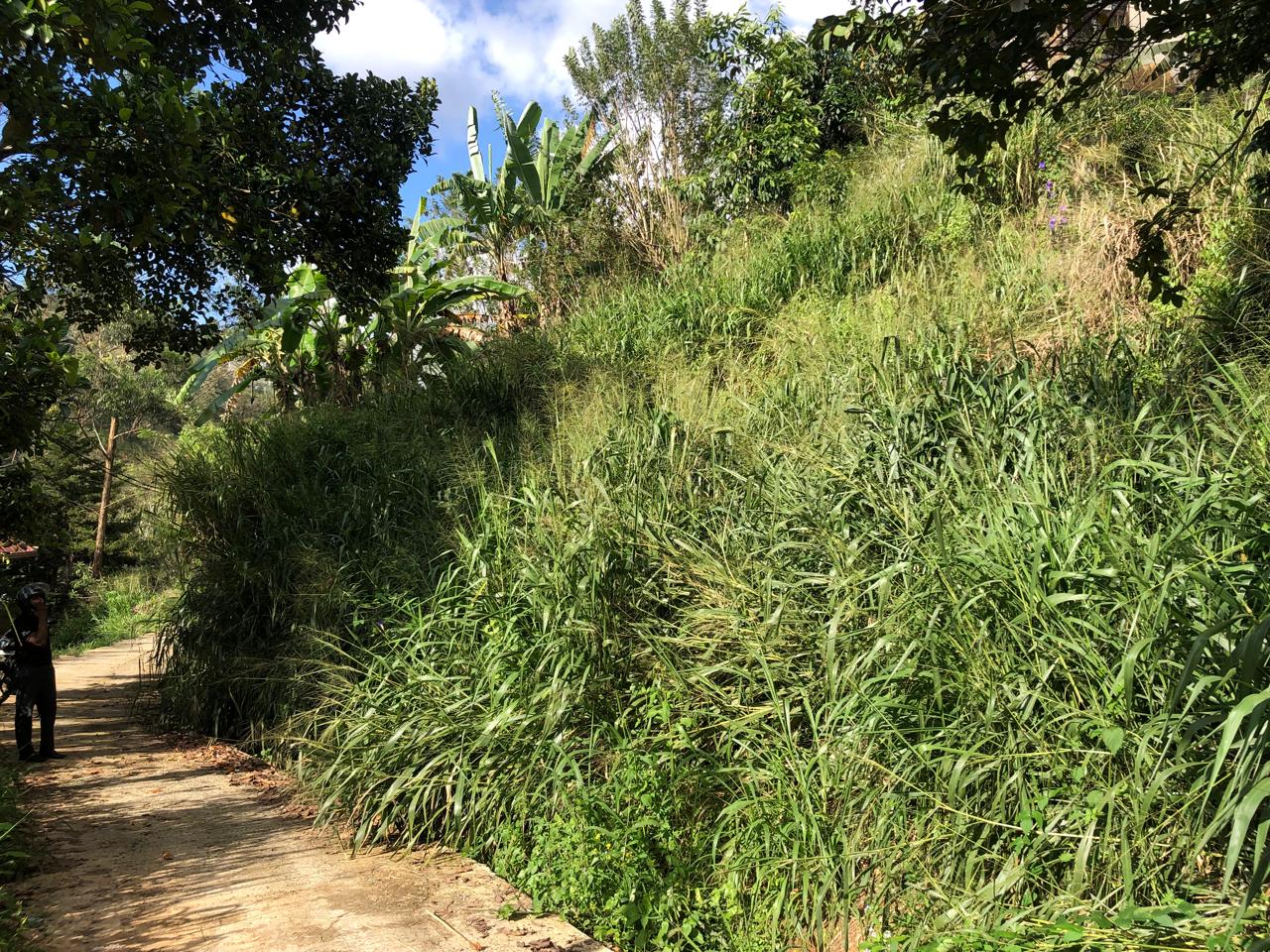 Bare Land Bandarawela