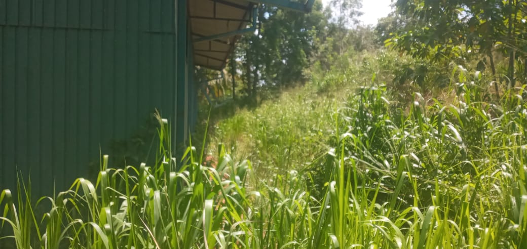 Commercial Property Kegalle