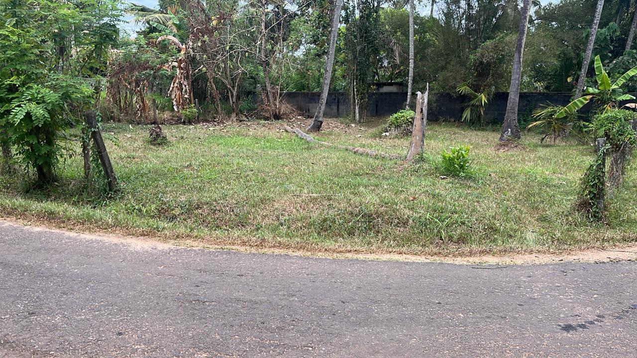 IMG 20250228 WA0008(1) (1)