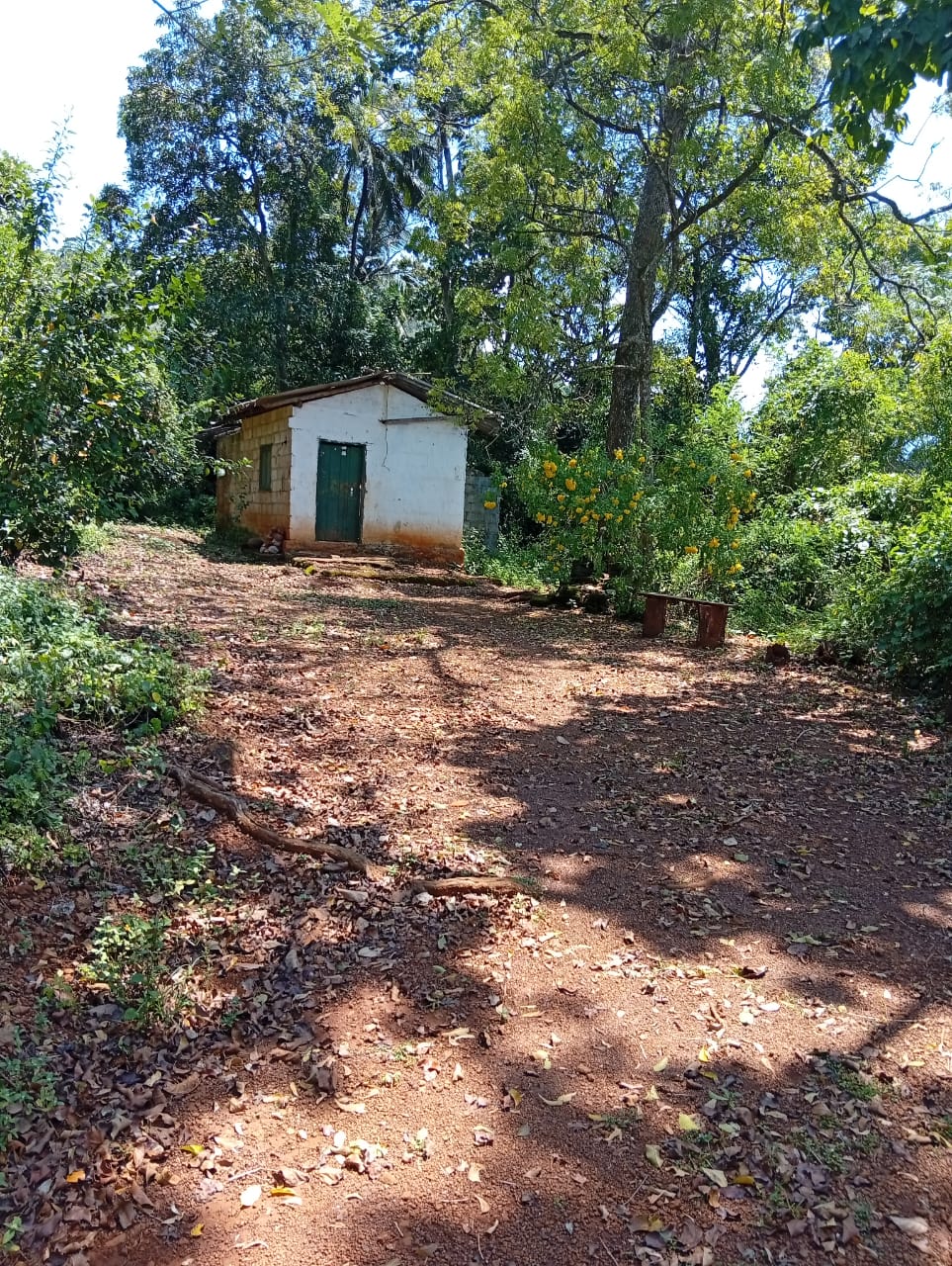 Bare land Palapathwala