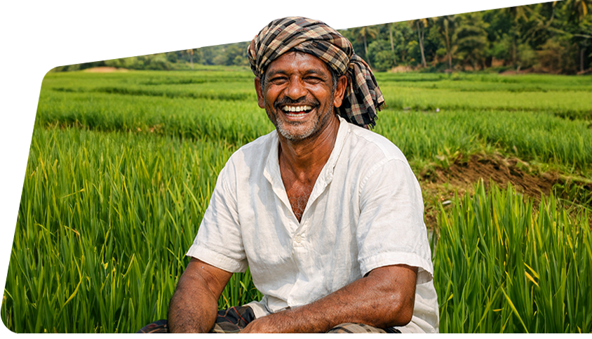 Paddy Millers and Cooperative Societies