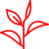Calculator Icon